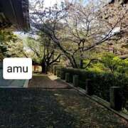 ヒメ日記 2025/04/11 16:40 投稿 あむ 熟女の風俗最終章 蒲田店