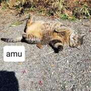 ヒメ日記 2025/04/11 18:59 投稿 あむ 熟女の風俗最終章 蒲田店