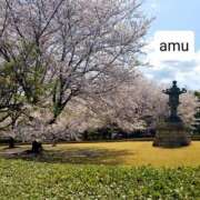 ヒメ日記 2025/04/14 05:40 投稿 あむ 熟女の風俗最終章 蒲田店