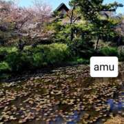 ヒメ日記 2025/04/14 08:12 投稿 あむ 熟女の風俗最終章 蒲田店