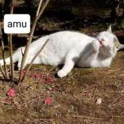 ヒメ日記 2025/04/14 10:26 投稿 あむ 熟女の風俗最終章 蒲田店