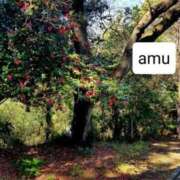 ヒメ日記 2025/04/16 14:29 投稿 あむ 熟女の風俗最終章 蒲田店