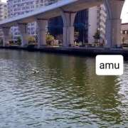 ヒメ日記 2025/04/16 21:20 投稿 あむ 熟女の風俗最終章 蒲田店