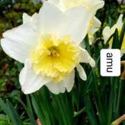 ヒメ日記 2025/04/16 22:50 投稿 あむ 熟女の風俗最終章 蒲田店