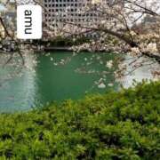 ヒメ日記 2025/04/18 07:00 投稿 あむ 熟女の風俗最終章 蒲田店