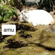 ヒメ日記 2025/04/18 08:20 投稿 あむ 熟女の風俗最終章 蒲田店