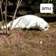 ヒメ日記 2025/04/20 06:20 投稿 あむ 熟女の風俗最終章 蒲田店