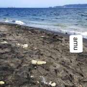 ヒメ日記 2025/04/21 13:30 投稿 あむ 熟女の風俗最終章 蒲田店