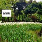 ヒメ日記 2025/04/24 05:50 投稿 あむ 熟女の風俗最終章 蒲田店