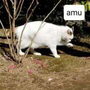 ヒメ日記 2025/04/28 12:10 投稿 あむ 熟女の風俗最終章 蒲田店