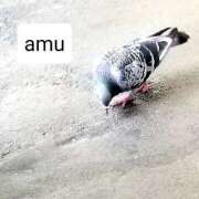 ヒメ日記 2025/05/02 06:00 投稿 あむ 熟女の風俗最終章 蒲田店