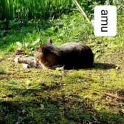 ヒメ日記 2025/05/03 11:40 投稿 あむ 熟女の風俗最終章 蒲田店