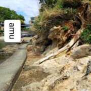 ヒメ日記 2025/05/10 04:50 投稿 あむ 熟女の風俗最終章 蒲田店