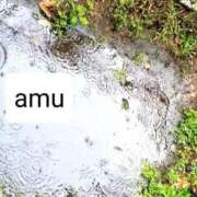 ヒメ日記 2025/05/17 17:41 投稿 あむ 熟女の風俗最終章 蒲田店