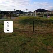 ヒメ日記 2025/05/18 00:17 投稿 あむ 熟女の風俗最終章 蒲田店