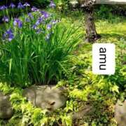 ヒメ日記 2025/05/19 05:10 投稿 あむ 熟女の風俗最終章 蒲田店