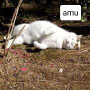 ヒメ日記 2025/05/19 08:20 投稿 あむ 熟女の風俗最終章 蒲田店