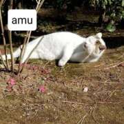 ヒメ日記 2025/05/23 17:02 投稿 あむ 熟女の風俗最終章 蒲田店