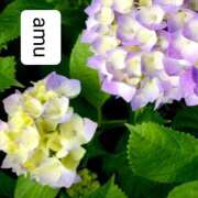 ヒメ日記 2025/05/28 06:20 投稿 あむ 熟女の風俗最終章 蒲田店