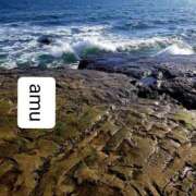 ヒメ日記 2025/05/28 07:50 投稿 あむ 熟女の風俗最終章 蒲田店