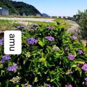 ヒメ日記 2025/06/13 11:50 投稿 あむ 熟女の風俗最終章 蒲田店