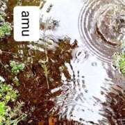 ヒメ日記 2025/06/14 23:50 投稿 あむ 熟女の風俗最終章 蒲田店