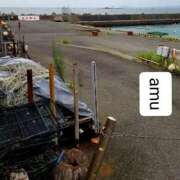 ヒメ日記 2025/06/15 03:20 投稿 あむ 熟女の風俗最終章 蒲田店