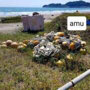 ヒメ日記 2025/06/18 06:20 投稿 あむ 熟女の風俗最終章 蒲田店