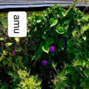 ヒメ日記 2025/06/18 08:00 投稿 あむ 熟女の風俗最終章 蒲田店