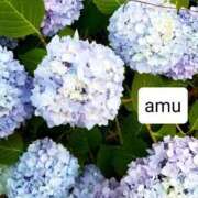 ヒメ日記 2025/06/20 06:20 投稿 あむ 熟女の風俗最終章 蒲田店