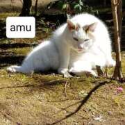 ヒメ日記 2025/06/21 20:40 投稿 あむ 熟女の風俗最終章 蒲田店