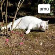 ヒメ日記 2025/06/29 21:40 投稿 あむ 熟女の風俗最終章 蒲田店