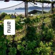 ヒメ日記 2025/07/15 08:50 投稿 あむ 熟女の風俗最終章 蒲田店