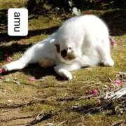 ヒメ日記 2025/07/16 07:50 投稿 あむ 熟女の風俗最終章 蒲田店