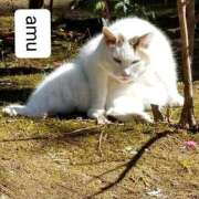 ヒメ日記 2025/07/16 08:00 投稿 あむ 熟女の風俗最終章 蒲田店