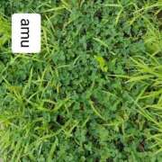 ヒメ日記 2025/07/16 22:00 投稿 あむ 熟女の風俗最終章 蒲田店