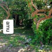 ヒメ日記 2025/07/30 15:50 投稿 あむ 熟女の風俗最終章 蒲田店