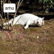 ヒメ日記 2025/08/11 20:35 投稿 あむ 熟女の風俗最終章 蒲田店