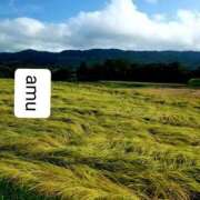 ヒメ日記 2025/08/18 10:30 投稿 あむ 熟女の風俗最終章 蒲田店