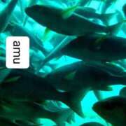 ヒメ日記 2025/08/18 14:20 投稿 あむ 熟女の風俗最終章 蒲田店