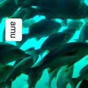 ヒメ日記 2025/08/20 04:20 投稿 あむ 熟女の風俗最終章 蒲田店