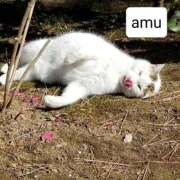 ヒメ日記 2025/08/31 15:01 投稿 あむ 熟女の風俗最終章 蒲田店