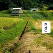 ヒメ日記 2025/09/07 04:50 投稿 あむ 熟女の風俗最終章 蒲田店