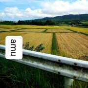 ヒメ日記 2025/09/08 06:50 投稿 あむ 熟女の風俗最終章 蒲田店