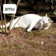 ヒメ日記 2025/09/08 07:50 投稿 あむ 熟女の風俗最終章 蒲田店