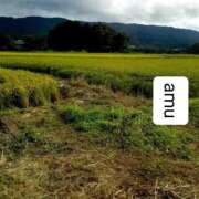 ヒメ日記 2025/09/12 06:20 投稿 あむ 熟女の風俗最終章 蒲田店