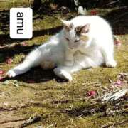 ヒメ日記 2025/09/12 07:53 投稿 あむ 熟女の風俗最終章 蒲田店