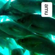 ヒメ日記 2025/09/12 19:20 投稿 あむ 熟女の風俗最終章 蒲田店