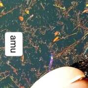 ヒメ日記 2025/09/19 14:00 投稿 あむ 熟女の風俗最終章 蒲田店