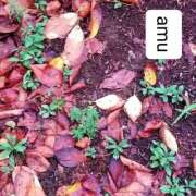 ヒメ日記 2025/09/19 21:53 投稿 あむ 熟女の風俗最終章 蒲田店